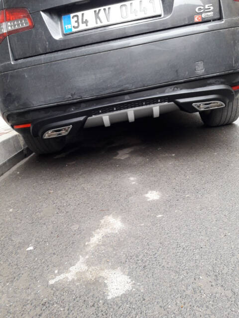 Difüzör 2 Çıkış Eksoz Üniversal Gümüş - 8